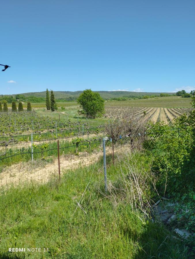 Chambre D Hotes En Provence, Au Pied Du Luberon, Les Coquelicots La Tour-dʼAigues المظهر الخارجي الصورة