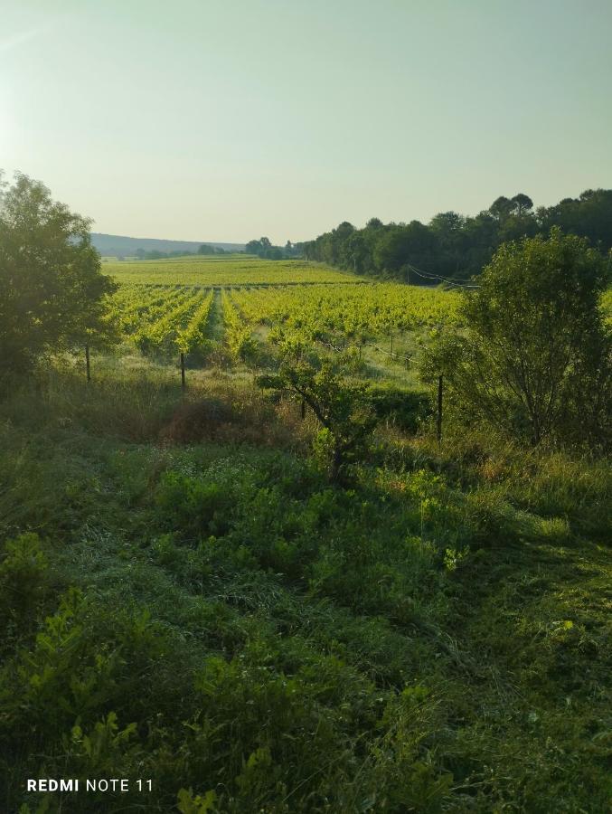 Chambre D Hotes En Provence, Au Pied Du Luberon, Les Coquelicots La Tour-dʼAigues المظهر الخارجي الصورة